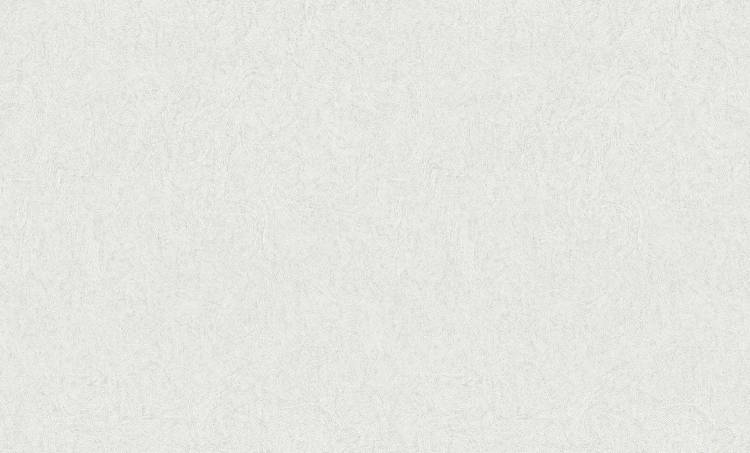 Обои флизелиновые Bruno Zoff Silver 60118-1