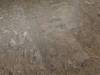 SPC Ламинат Fast Floor Stone 4/43 4V FST-215 Белуха 610x305