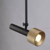 Подвесной светильник iLedex Delta 2361-1 BK+BR фото 3