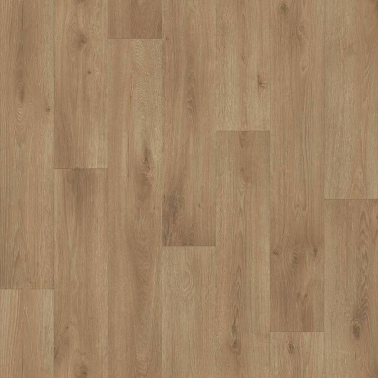 Линолеум Tarkett Acczent Pro (Акцент Про) Samson (Самсон) 1 (рулон: 3x20=60 м2)