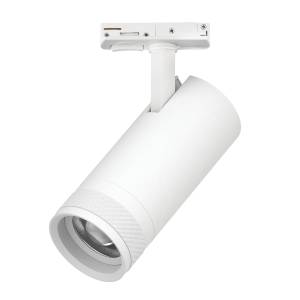 Трековый светодиодный светильник Lightstar Canno Pro C4206SS