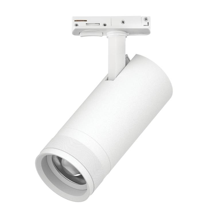 Трековый светодиодный светильник Lightstar Canno Pro C4206SS