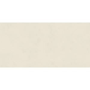 Керамогранит Atlas Concorde Boost Natural Pro AQ8Z Salt Matt 60x120