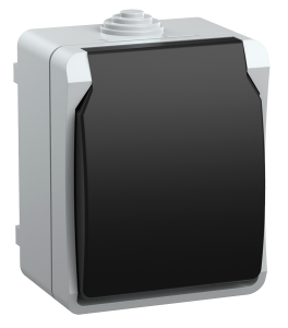 Розетка 1-местная с заземлением IEK Fors ERS12-K03-16-54-DC серый