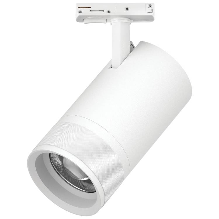 Трековый светодиодный светильник Lightstar Canno Pro C4406SS
