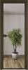 Межкомнатная дверь Profil Doors 4 AX цвет профиля Деорэ, стекло безопасное 6 мм зеркало 600x2000