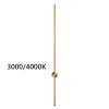 Настенный светильник Odeon Light Fillini 4335/18WGP