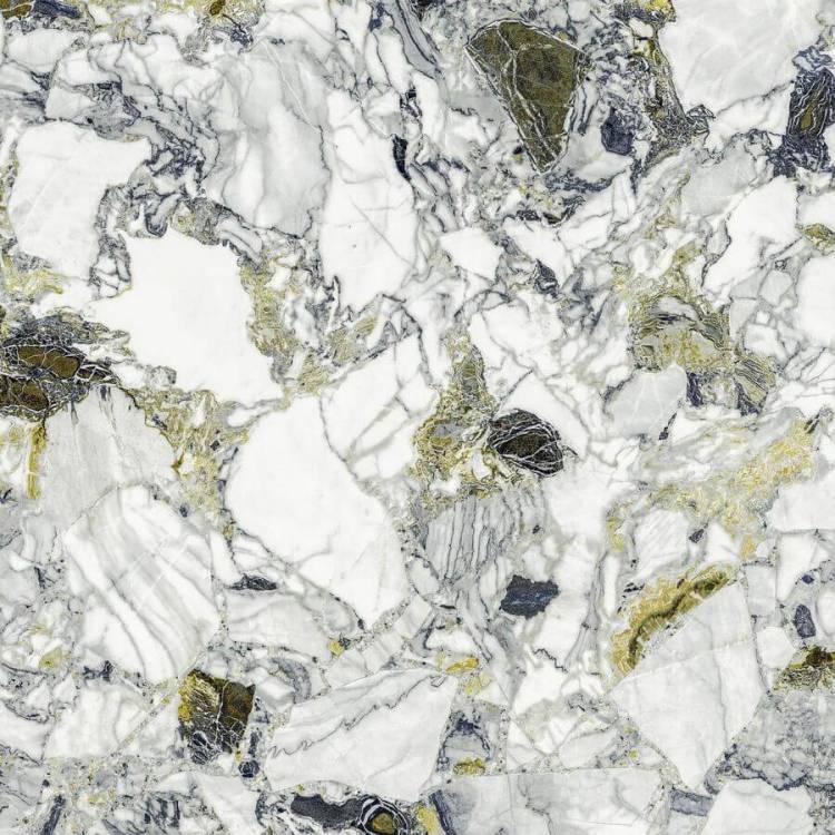 Керамогранит Atlas Concorde Russia Forte dei Marmi Quark 610010002971 Ceppo Apuano Forest Rett 80x80