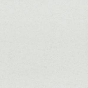 Обои флизелиновые Aura Plain Resource Vol 2 B1180304