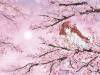 Бесшовные Eco обои Ortograf Free time 2 34964 Pink anime Ворс ОЕ