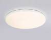 Потолочный светильник Ambrella light Orbital Dance FZ2001 фото 6