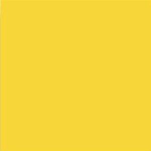 Керамическая плитка Vives Satinados Amarillo Mate 20x20