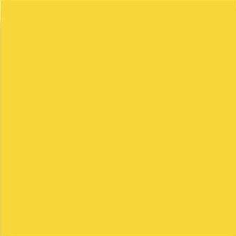 Керамическая плитка Vives Satinados Amarillo Mate 20x20