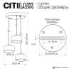 Подвесной светильник Citilux Espace CL243031 фото 16