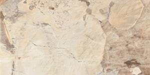 Керамогранит Onlygres Marble 69225 MOG304/PS_NC/60x120x9R/GW Light Beige Полированный 60x120