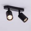 Спот Arte Lamp Aquarius A3226PL-2BK фото 2