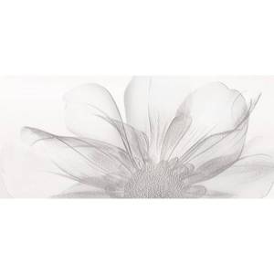 Декор Novogres Vogue Decor Nagore 27x60