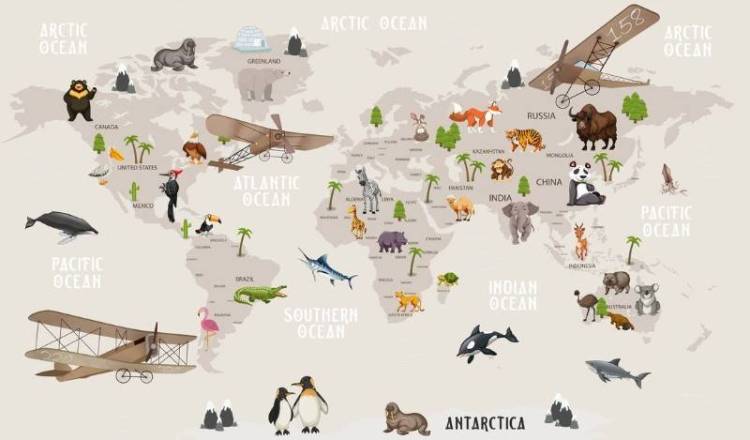 3D Фотообои Artegrafico «Солнечная карта на английском» KID-126 канвас