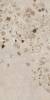 Керамогранит Fioranese I Cocci Siciliani SC623R Grigio 60.4x120.8