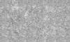 Декоративная добавка Decorazza Lucente Glitter Argento серая фото 2