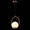 Подвесной светильник Loft IT Glob LOFT2600-A фото 5