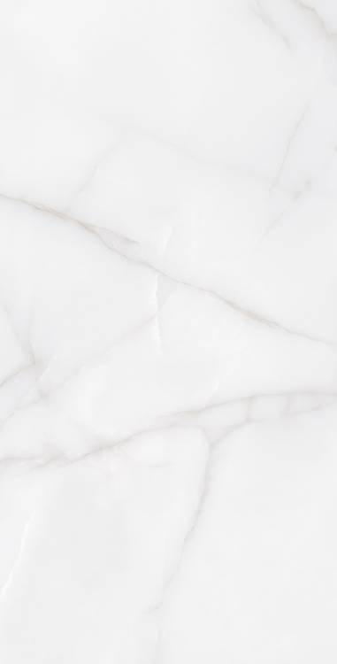 Керамогранит Arcadia Ceramica Feather RT7012-A Onyx 60x120