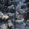 Ландшафтный светильник Novotech Ralte 371064 фото 7