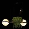 Подвесной светильник Loft IT Jardin 10121/2 фото 4