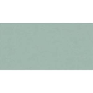 Керамическая плитка Abk Wide&Style Mini PF60008232 Mint Ret 60x120