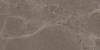 Керамогранит Mozart Iconic Truffle Matt 60x120