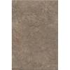 Керамическая плитка Kerama Marazzi Каприччо 8354 Коричневый Глянцевый 20x30
