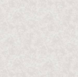 Обои Victoria Stenova Peony 585342