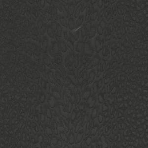 Обои Roberto Cavalli №9 21044