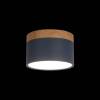 Накладной светодиодный светильник Loft IT Grape 10162 Blue фото 2