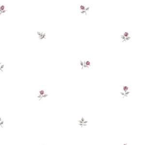 Обои бумажные Aura Rose Garden RG35720