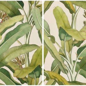 Декор 41ZERO42 Paper41 Pro 4100336 Musa 50x100