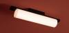 Потолочный светодиодный светильник Freya Even FR5625CL-L20B фото 6