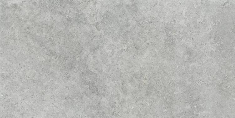 Керамогранит Ragno Richmond RAFW Silver Rett 60x120