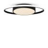 Потолочный светильник Freya Cosmic FR10015CL-L62B фото 3