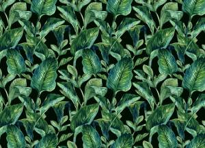 3D Фотообои Artegrafico «Освежающая зелень» TB-031 песок