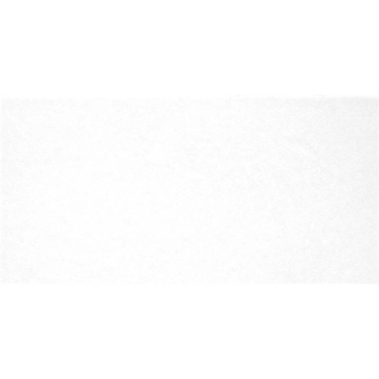 Керамическая плитка Alma Ceramica TWU09MNR020 24.9x50