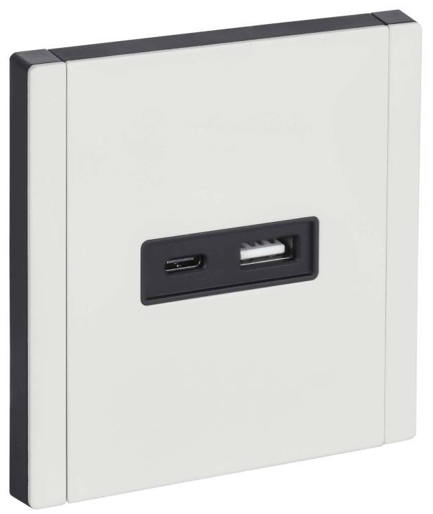 Розетка USB type A+C IEK Forte&Piano FP-U22-D31-M-K01 белый