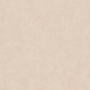 Керамогранит Piemme Valentino Cement Vibe 05964 Malta Resin Nat/Ret 120x120