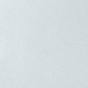 Обои Parati&Parati Uno FN26019