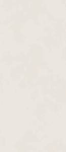 Керамогранит Italon Форум 600180000078 Слим Полар 120x278