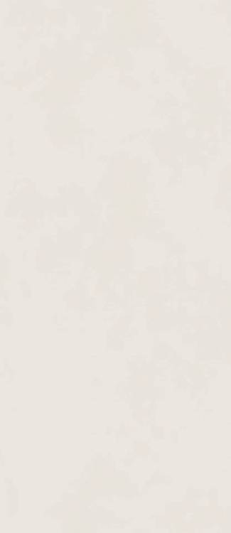 Керамогранит Italon Форум 600180000078 Слим Полар 120x278