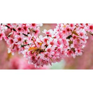 Декор Cersanit Okka Sakura UG2L072D 29.7x60