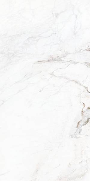 Керамогранит Leopard Marble Calacata 2578 Soft Vein Polished 60x120