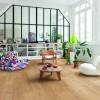 LVT Плитка Quick-Step Alpha Vinyl Bloom 6/33 4V AVMPU 40316 Дуб Элегантный натуральный 1494x209 фото 2