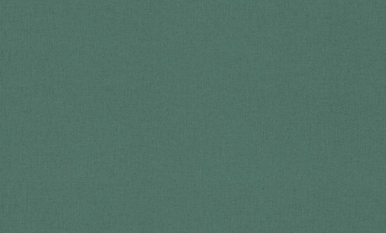 Обои флизелиновые Rasch Vitrage 975628